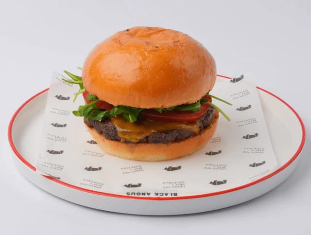 Mexicano Burger